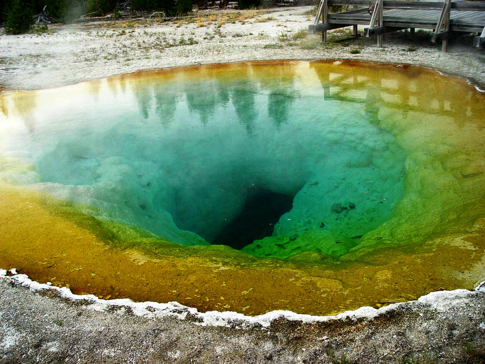 Yellowstone National Park Tenzing Travel Journeys That Last