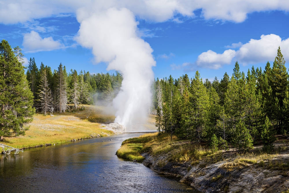 Yellowstone National Park Tenzing Travel Journeys That Last